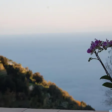 Tenuta Mamma Carmela Амальфі